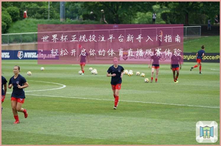 世界杯正规投注平台新手入门指南：轻松开启你的体育直播观赛体验