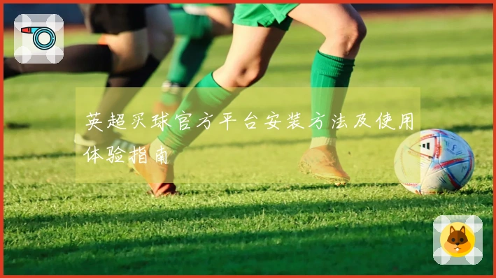英超买球官方平台安装方法及使用体验指南