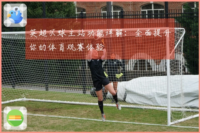英超买球主站功能详解：全面提升你的体育观赛体验