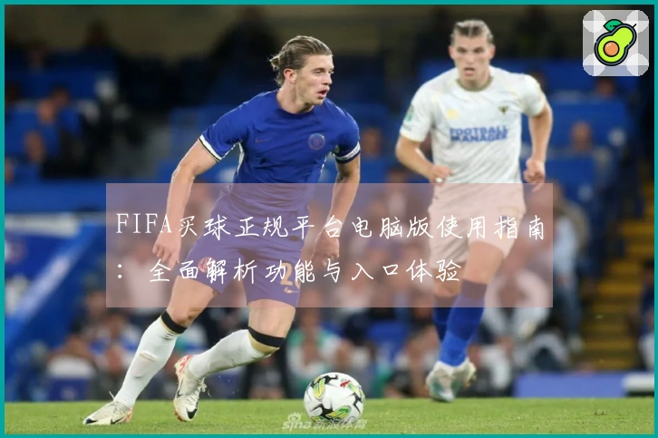 FIFA买球正规平台电脑版使用指南：全面解析功能与入口体验